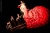 Концерт фламенко с известной испанской танцовщицей Натальей Мейриньо